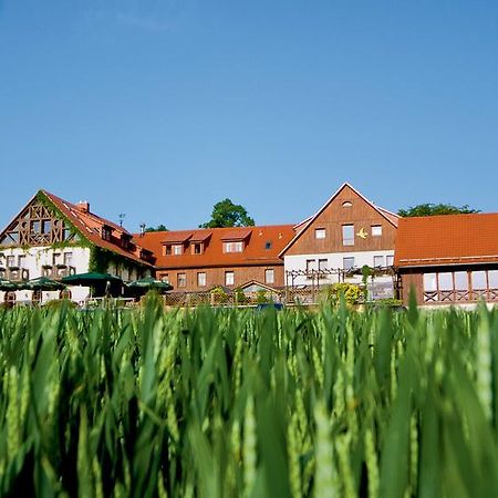 Hotel Neue Hoehe Klingenberg Exteriör bild