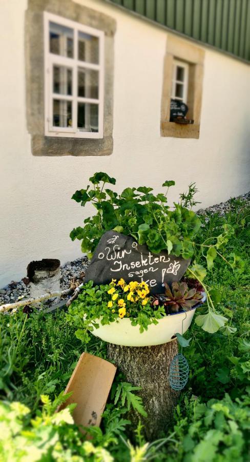 Hotel Neue Hoehe Klingenberg Exteriör bild