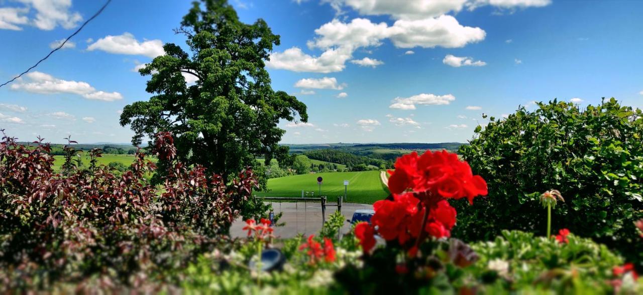 Hotel Neue Hoehe Klingenberg Exteriör bild