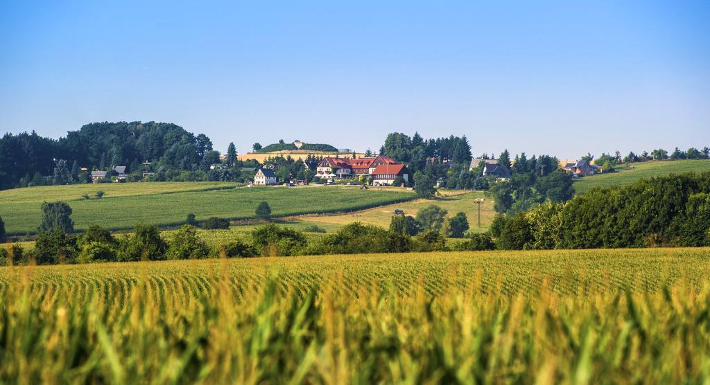 Hotel Neue Hoehe Klingenberg Exteriör bild
